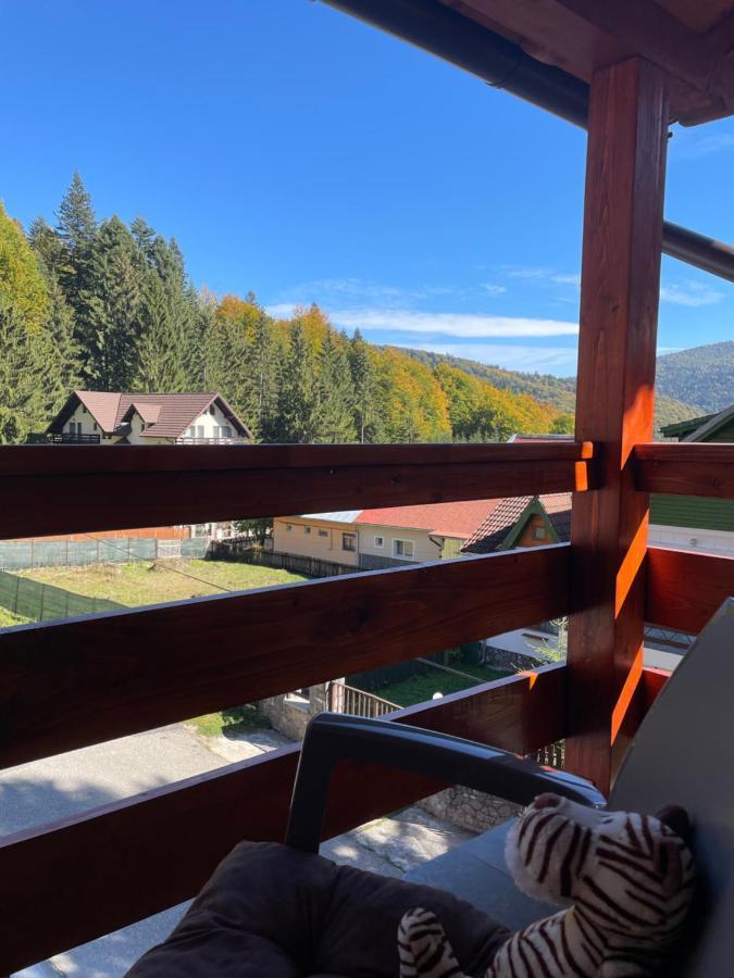 Apartament Lexannona Busteni ,lângă Pârtia Kalinderu Exterior foto