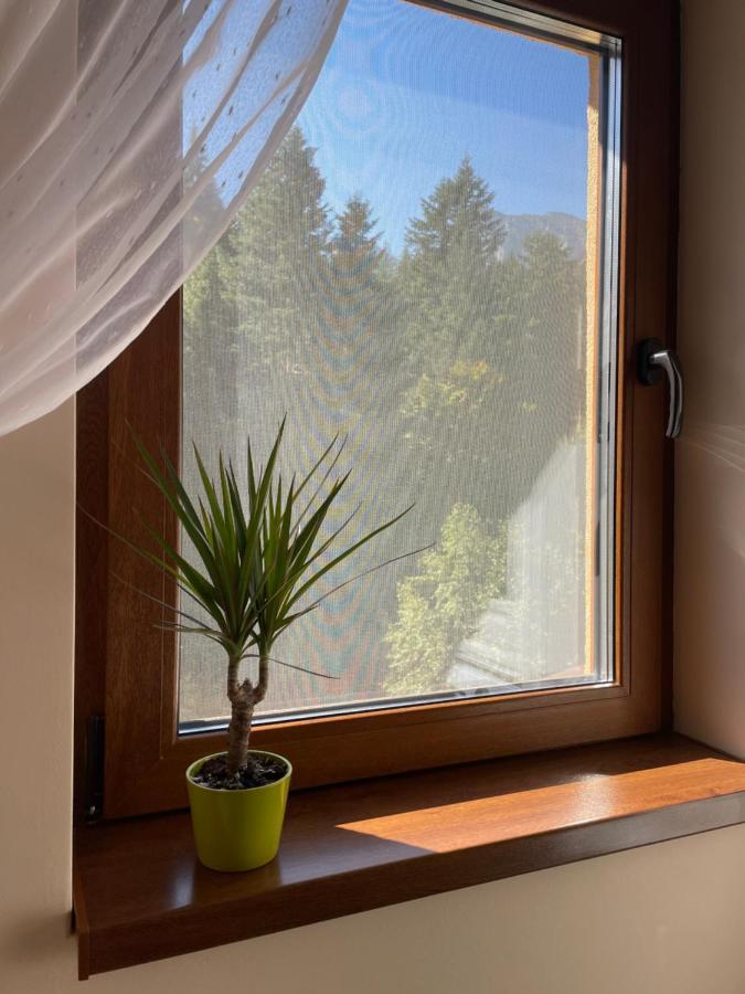 Apartament Lexannona Busteni ,lângă Pârtia Kalinderu Exterior foto