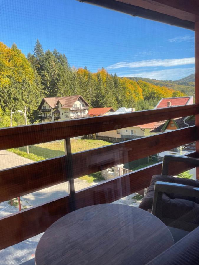 Apartament Lexannona Busteni ,lângă Pârtia Kalinderu Exterior foto